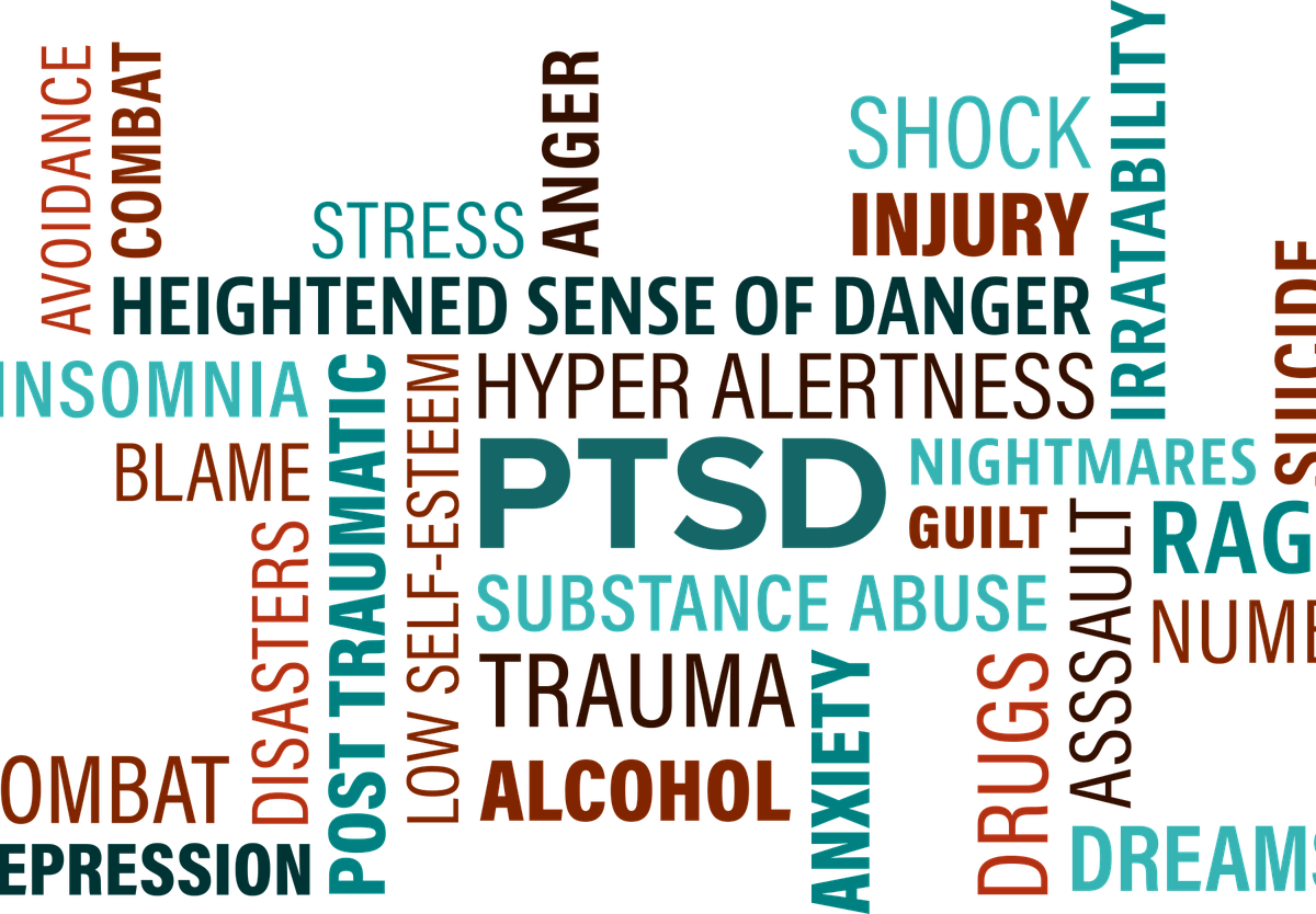 PTSD Unveiled - Navigating, Supporting, and Healing Together